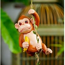 51SNrdi+KjL._AC_UL210_SR210,